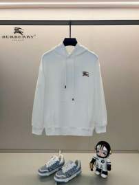 Picture of Burberry Hoodies _SKUBurberryXS-L24cr301898